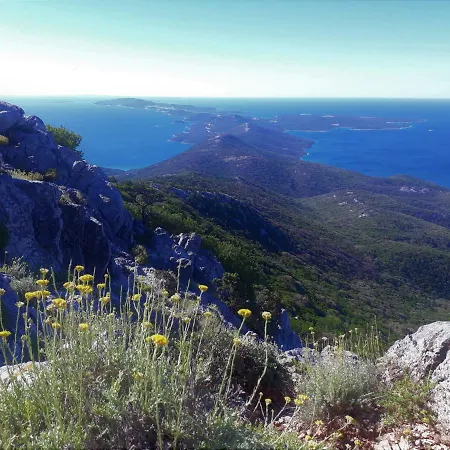 Nadia Sokolic 公寓 *