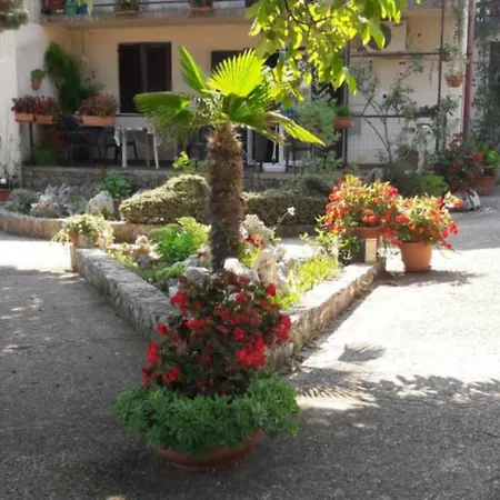 Nadia Sokolic 公寓 *