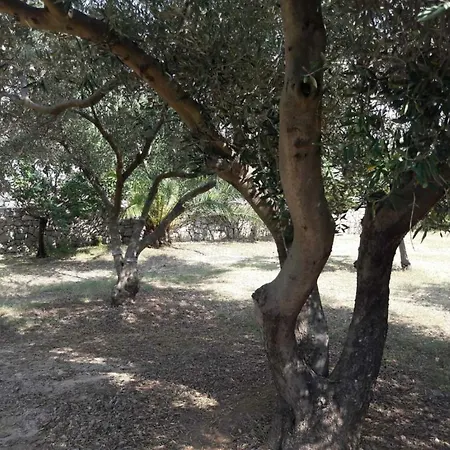 公寓 Nadia Sokolic