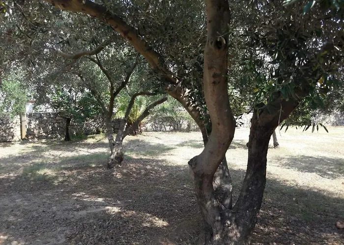 Lejlighed Nadia Sokolic